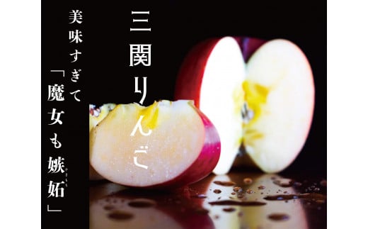 yHcszO֎Yӂ3kgtl Oւ ӂ HcY sY ʕ t[c Yn Â W[V[ {̖oyR_z[K10401]