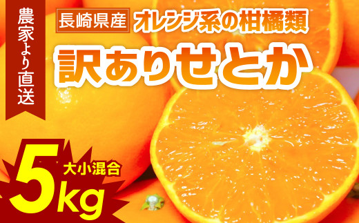 訳あり ご家庭用 長崎県産 せとか みかん 約5kg 2023年2月下旬より順次