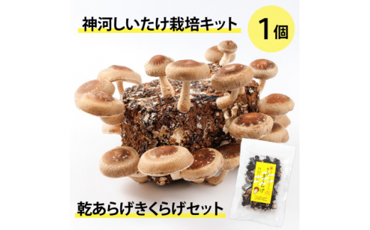 yɌ_͒z_͔͂|Lbg(ۏ)1Ɗ炰炰Zbg@10`4y1355228z