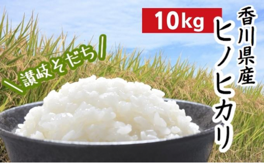 令和5年 香川県産「ヒノヒカリ」 10kg 讃岐育ち 精米