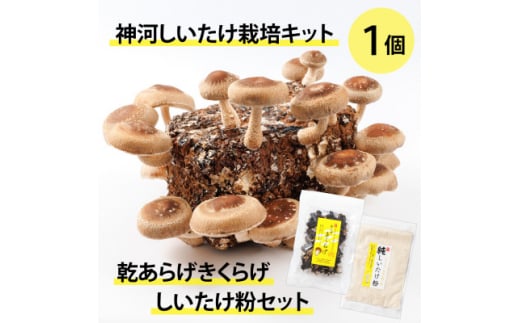 yɌ_͒z_͔͂|Lbg(ۏ)1Ɗ炰炰EZbg@10`4y1355231z