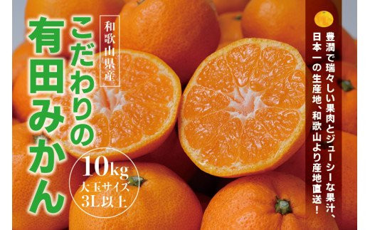 農家直送】有田みかん 約10kg 大玉3L以上 有機質肥料100% 先行予約