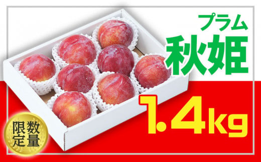 ☆フルーツ王国山形☆山形プラム(秋姫)1.4kg 【令和6年産先行予約