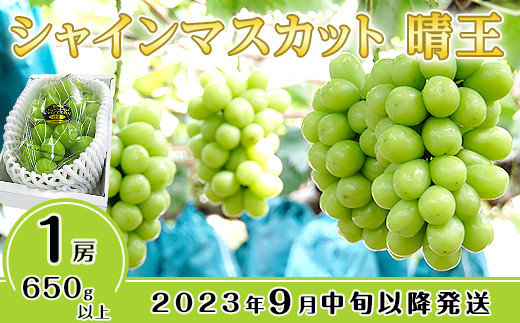 シャインマスカット晴王1房【2023年9月中旬～10月下旬発送予定