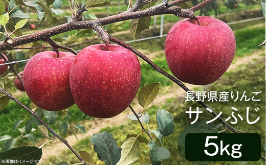 2408 長野県産りんご「サンふじ」5kg - 長野県山形村｜ふるさと