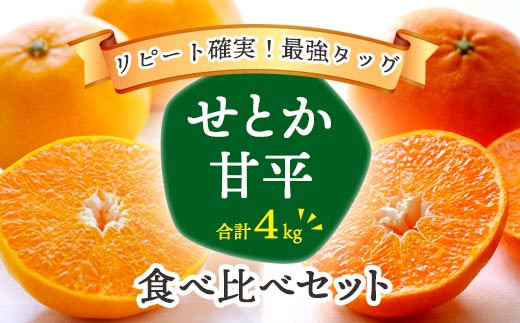 C25-95. ミヤモトオレンジガーデン の「せとか2㎏ ・ 甘平2㎏の 食べ