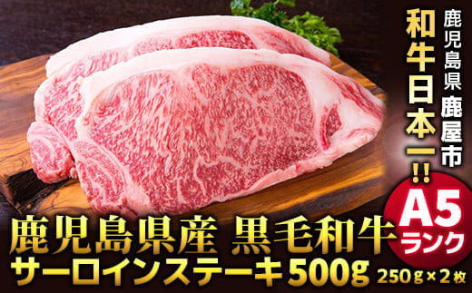 1397 鹿児島県産黒毛和牛 A5ランク サーロインステーキ 500g［250g×2枚