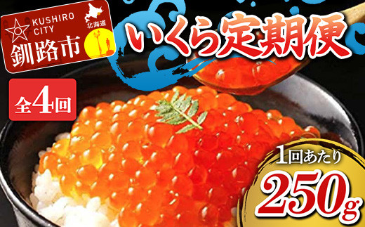 定期便 4か月連続 北海道産 いくら定期便 250g×4回 いくら 4か月 定期便 F4F-1706