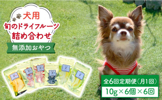 6袋 6回定期便 犬の無添加おやつ お砂糖不使用 旬のドライフルーツ定期便 ペットフード Fcg009 佐賀県吉野ヶ里町 ふるさとチョイス ふるさと納税サイト