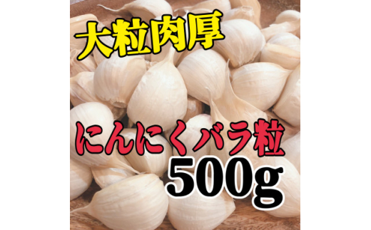 月500箱売れている!＞あまい!大きい!まるでお芋!青森バラにんにく500g