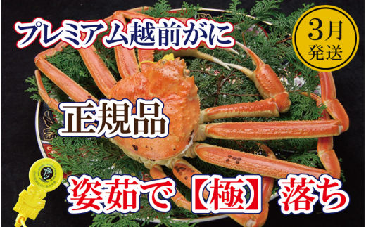 y䌧zOzzOɁuɗv × 1t ˔IzO̎ ōÑv~AzOɁyY YCKj 킢 p  {C ① 䌧zy3zył͂z