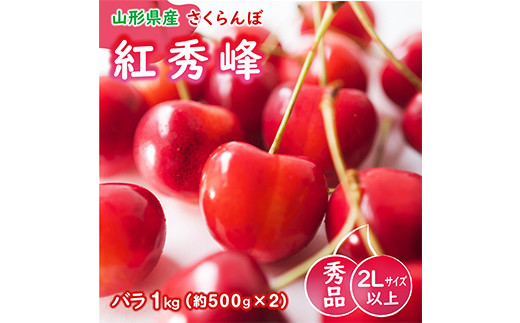 《令和6年度産先行受付》 ※数量・期間限定※ 山形県産さくらんぼ 紅秀峰 バラ1kg 秀品 2Lサイズ以上 FSY-0001