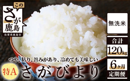 ふるさと納税 無洗米さがびより20kg定期便（6か月） N-15 佐賀県鹿島市