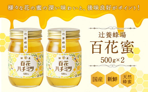 ふるさと納税 限定！天空の黄金はちみつ300g２個セット（百花蜜・アカシヤ）　非加熱　国産純粋はちみつ 長野県信濃町 ふるさと納税天空の黄金はちみつ 300g×2本 ⁄ 600g×2本