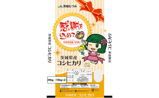 令和6年茨城県産コシヒカリ20kg（10kg×2） ／ お米 精米 こしひかり  