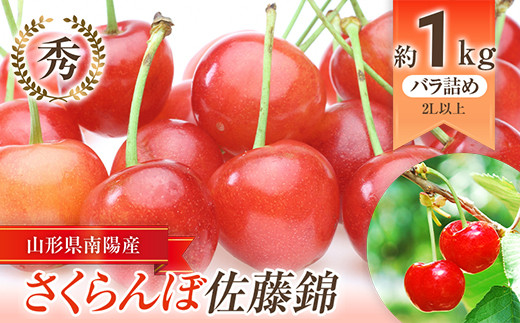 ① さくらんぼ　果物　佐藤錦　甘い　美味しい　果樹　フルーツ　子供
