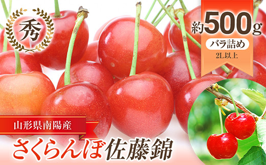 【令和6年産先行予約】 さくらんぼ 「佐藤錦」 約500g (秀 2L以上) バラ詰め 《令和6年6月上旬～発送》 『生産者おまかせ』 サクランボ  果物 フルーツ 産地直送 生産農家直送 山形県 南陽市 [885]