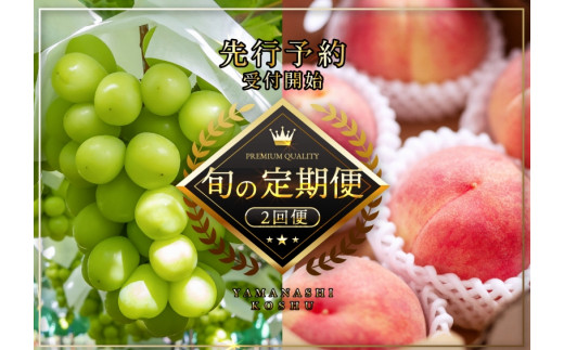 シャインマスカット 産地直送 山梨の人気商品・通販・価格比較 - 価格.com