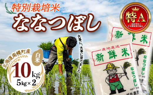 特別栽培米 ななつぼし（白米）5kg×2袋 令和5年産 2023年10月発送開始 今摺り米 NP1-248
