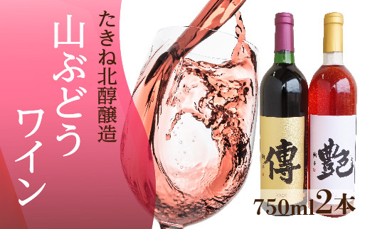日本ワイン 傳・艶 【おまけつき】 - ワイン