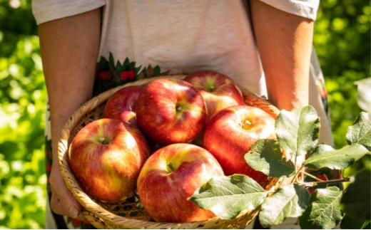 y쌧szlƒɂ҂I쌧YuVimXC[gv񂲁i3kgj[5659-1398]