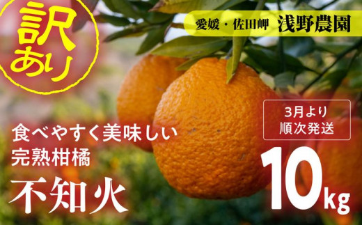 先行予約】訳あり 不知火 計10kg｜柑橘 みかん ミカン フルーツ 果物 でこぽん デコポンと同品種 愛媛 ※2025年2月上旬頃より順次発送予定  ※離島への配送不可 - 愛媛県伊方町｜ふるさとチョイス - ふるさと納税サイト