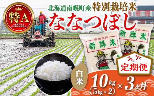 定期便》特別栽培米 ななつぼし（白米）5kg×2袋×3ヵ月 令和5年産 今