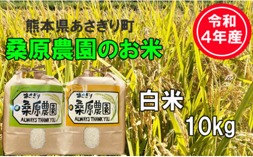 令和4年産　熊本県あさぎり町　桑原農園のお米ヒノヒカリ　白米10kg(5kg×2袋)