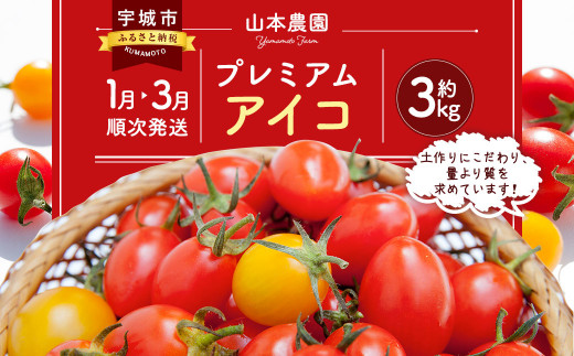 プレミアム アイコ 約3kg 山本農園 - 熊本県宇城市｜ふるさとチョイス