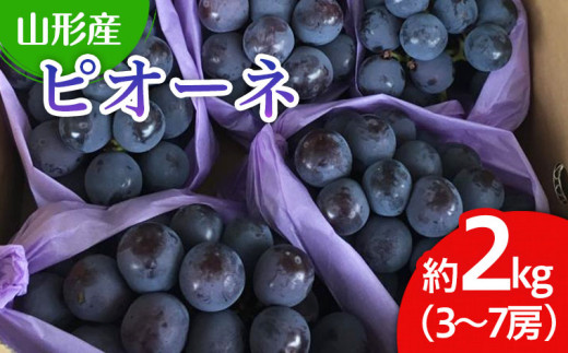 山形市産 ぶどう(ピオーネ) 秀 2kg(3～7房) 【令和6年産先行予約】FU22-052 フルーツ くだもの 果物 山形 山形県 山形市 ぶどう  葡萄 ブドウ 2024年産 - 山形県山形市｜ふるさとチョイス - ふるさと納税サイト