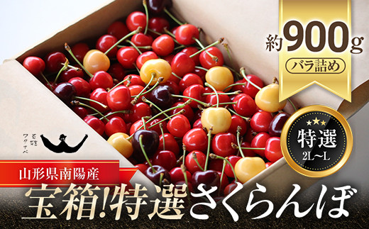 令和6年産先行予約】 宝箱！特選 さくらんぼ 3種 約900g (特選 L～2L