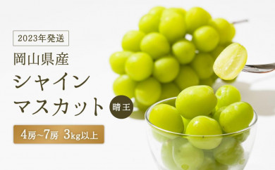 シャインマスカット 3kgの人気商品・通販・価格比較 - 価格.com