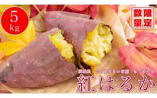 y錧JszI[KjbN܂5kgy_E엿sgpzy錧ʕԗi ΂݂炢sz 2025N10{`2026N2{\