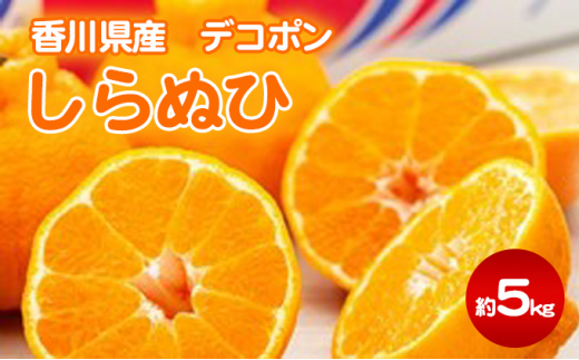 y쌧sz[4631-1895]ʂ 5kg fR|