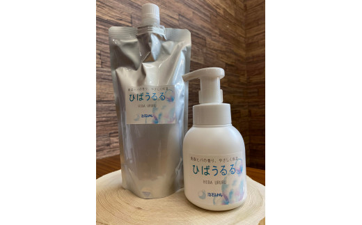 yX䑺zXqoƃi}R̃nh\[vuЂ΂vi{́ElߑւpZbgj