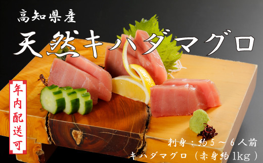 yml\szyNzzhg  Ђ ɁI VR܂ Ln_}O Ԑg 1kg 5`6lO CN   ܂ }O  hg  ؂g ؐg VR O  