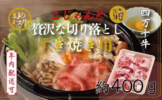 yml\szyNzz̃X l\ ґ ؂藎Ƃ Ă 400g Y m ܂ l\ q꒼   јa   Ⓚ [X [XX