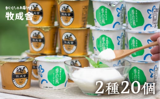 飛騨の牛乳屋こだわり 食べるタイプのヨーグルト２種類盛沢山20個