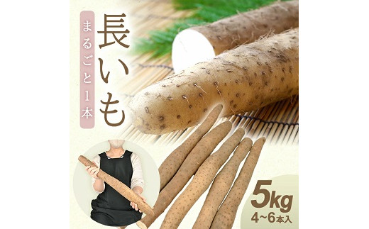 yR`Vz1324@ 5.0kgi4`6{jR`VY