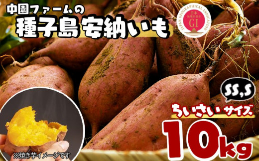 yV\szt@[ q [ i  j SS,STCY 10kg@NFN473y450ptz  // [ [˂̒n {E[nY x n G.I ی쐧x uh  
