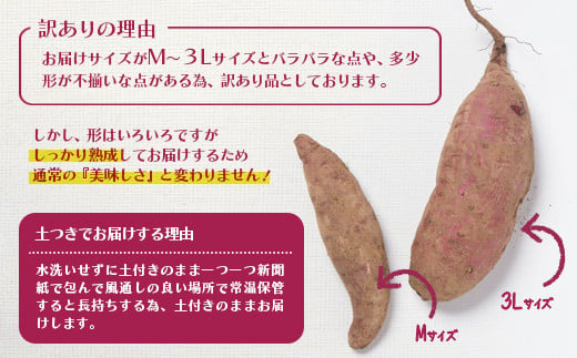 堀部農産】熟成紅はるか10kg 5㎏×2 訳あり さつまいも 芋 甘藷