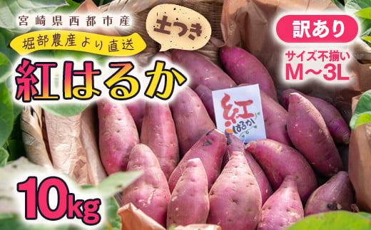 堀部農産】熟成紅はるか10kg 5㎏×2 訳あり さつまいも 芋 甘藷