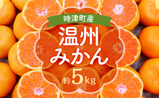 2023年12月上旬発送開始】時津町特産 温州みかん 約5kg 糖度が高くなる