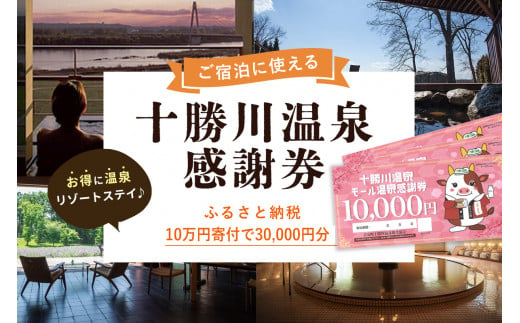 ふるさと納税「感謝券」の人気返礼品・お礼品比較 - 価格.com