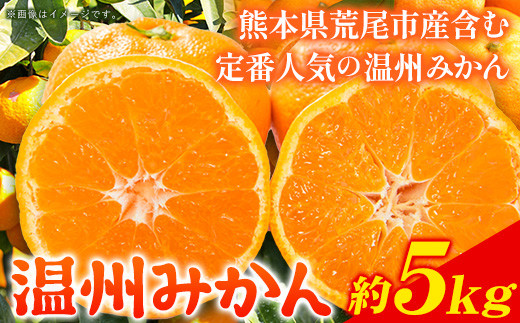 熊本県 荒尾市産含む 温州みかん 約5kg 《11月上旬-12月末頃出荷》送料無料 熊本県 荒尾市 フレッシュフーズ 柑橘 フルーツ ミカン 蜜柑