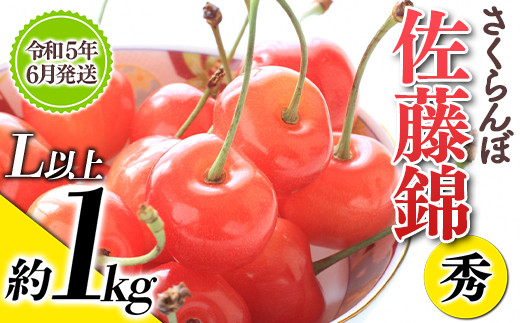 ① さくらんぼ　果物　佐藤錦　甘い　美味しい　果樹　フルーツ　子供