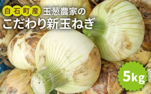サンプル写真