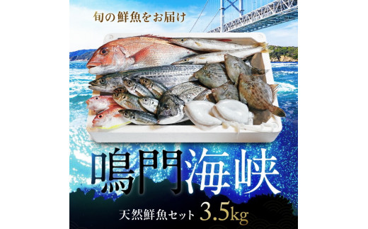 鳴門海峡 冷凍 鮮魚セット 3.5kg （魚種：4～5種） 魚 魚介類 鯛 タイ わかめ 人気 ランキング お得 冷凍 海鮮 海産 鮮魚 詰め合わせ  詰合せ セット 真空パック 処理済 お楽しみ 小分け 簡単調理 手軽 子供 徳島 鳴門 産地直送 鮮魚ボックス 3kg