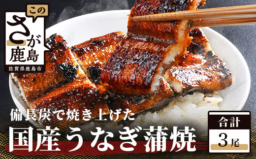 国産うなぎの蒲焼 3尾 180〜200g×3】 ＼創業70年伝統の味／大型サイズ