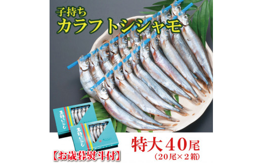 お歳暮熨斗付 ししゃも 子持ち カラフトシシャモ 特大 40尾 尾 2箱 子持ちシシャモ カラフトししゃも 大洗 茨城県大洗町 ふるさとチョイス ふるさと納税サイト